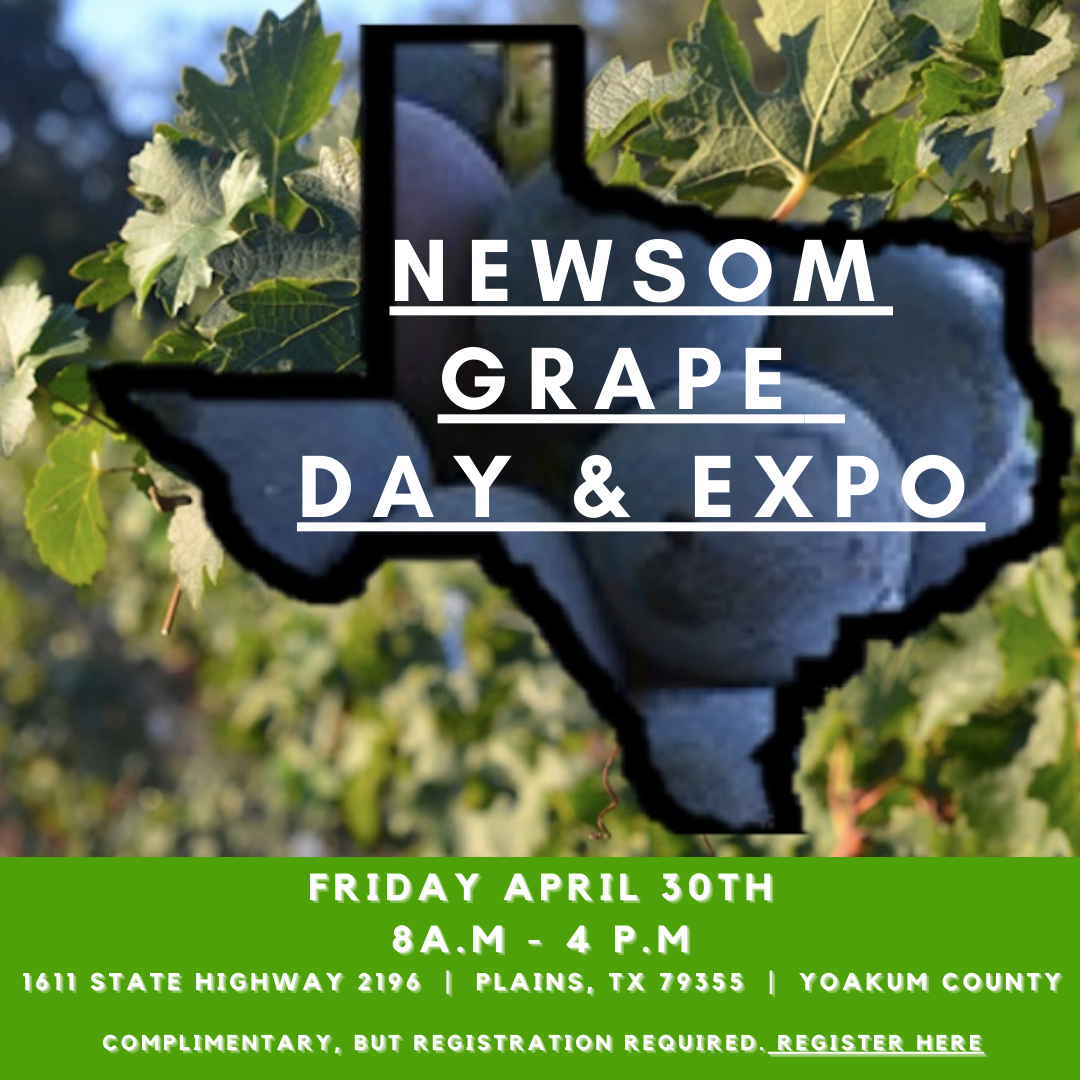 Texas Wine and Grape Growers Association